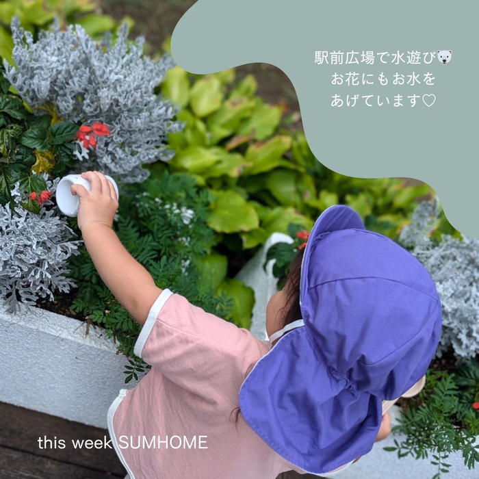 画像1176