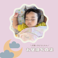 画像1249