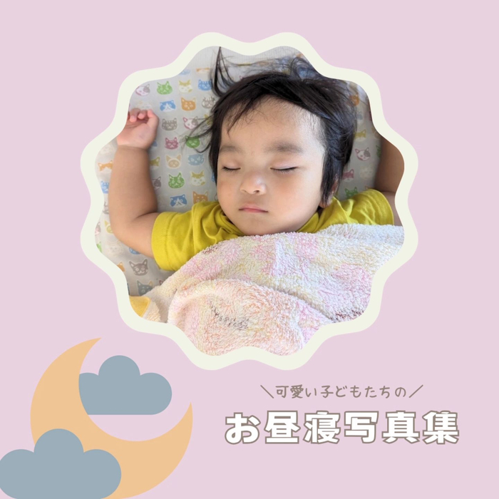 画像1249