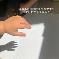 画像444