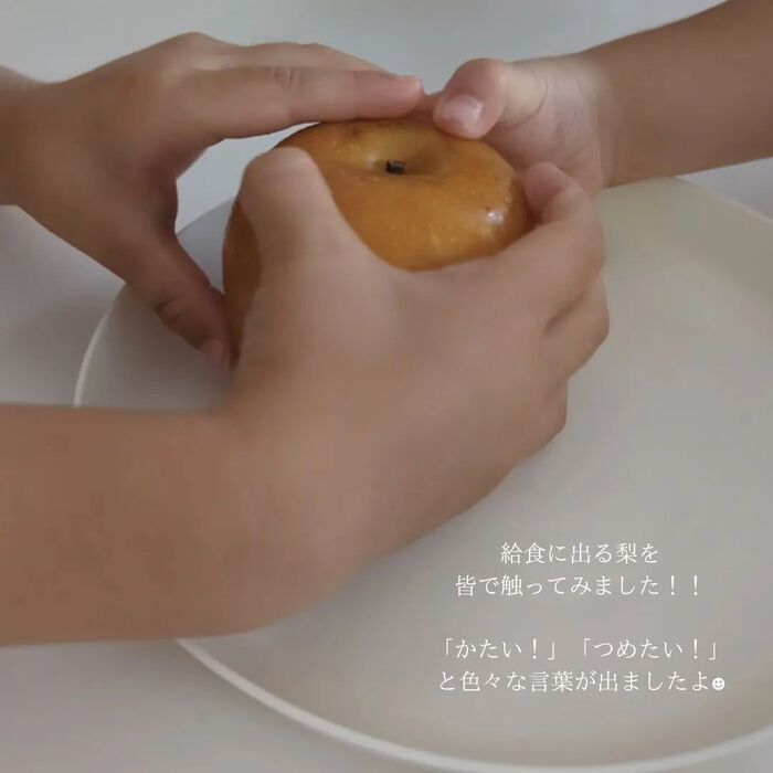 画像446
