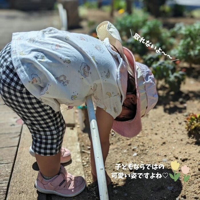 画像485