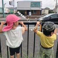 画像525