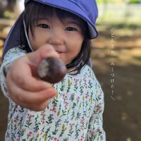 画像558