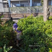 画像638