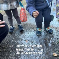 画像703