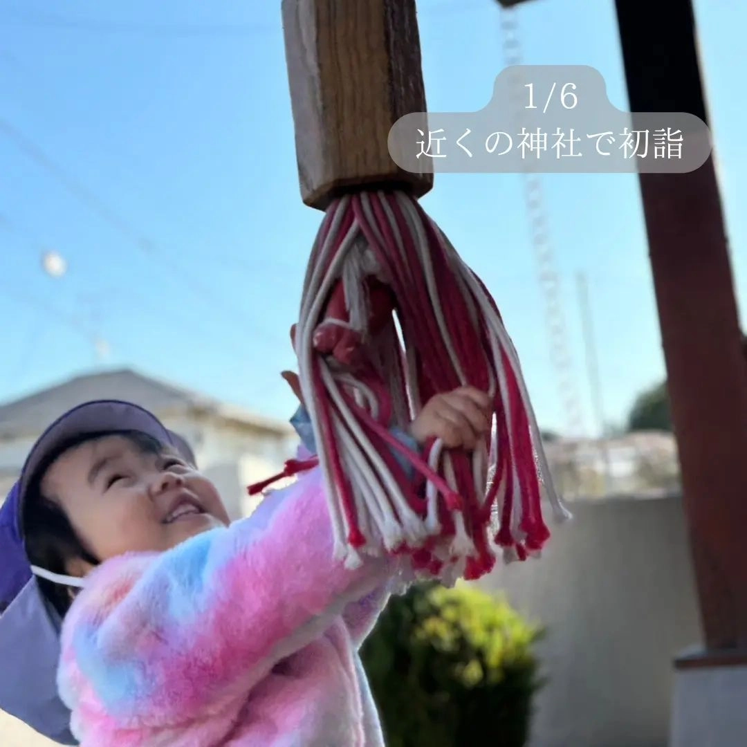 画像737