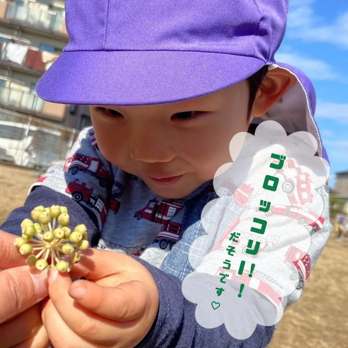 画像779