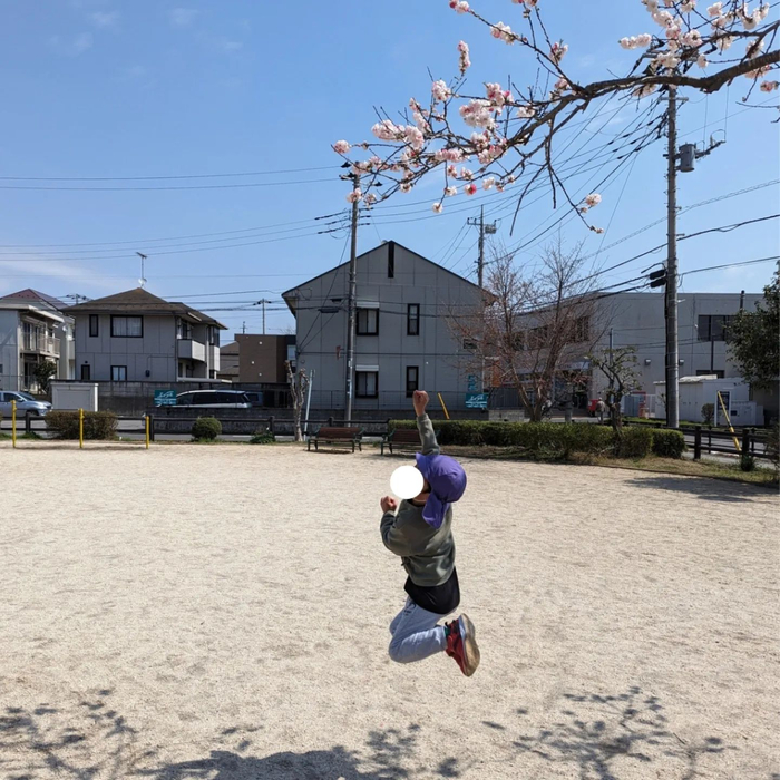 画像913