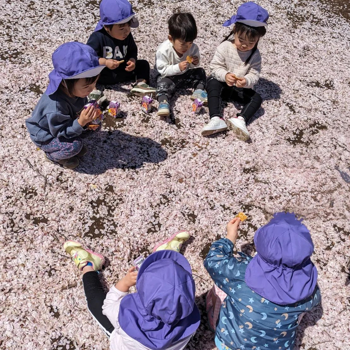 画像938